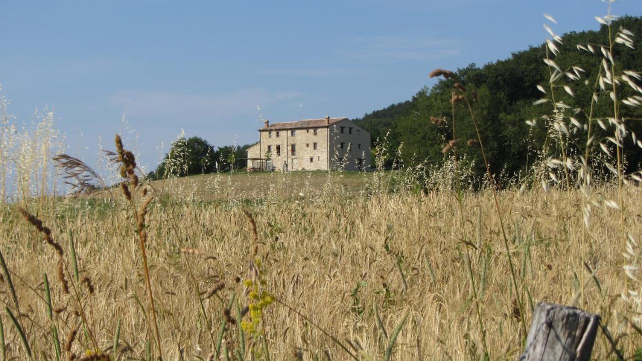 Casale Le Fontanelle Hotel Monte Grimano Terme Exterior foto